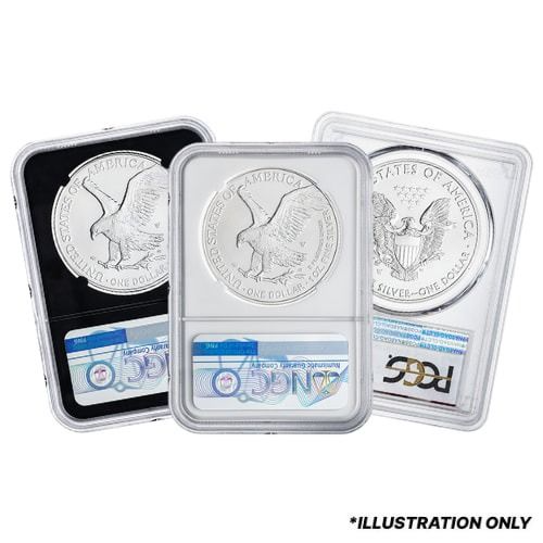 NGC/PCGS MS/SP-70 1 oz American Silver Eagle Burnished Coin - Random Year