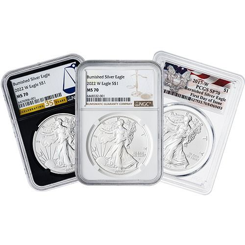 NGC/PCGS MS/SP-70 1 oz American Silver Eagle Burnished Coin - Random Year